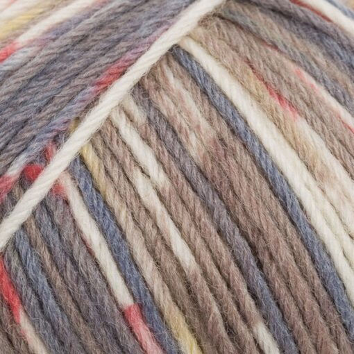 REGIA 6-ply Color 02791 | trondheim color