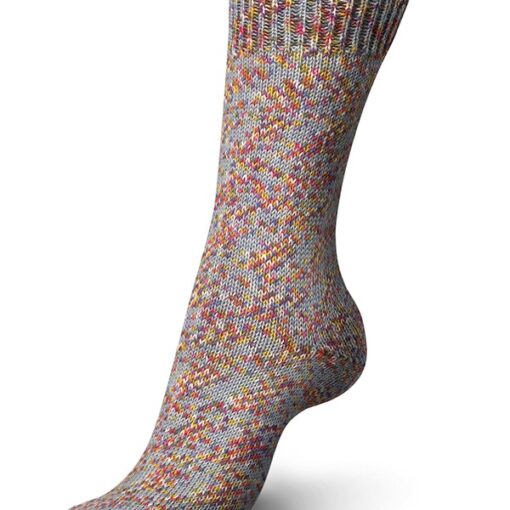 Regia 4ply Color 100g 09387 | festival color