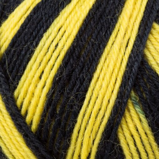 Regia 4ply Color 100g 05391 | schwarz-gelb color - Image 3