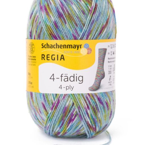 Regia 4ply Color 100g 09388 | peace color - Image 2