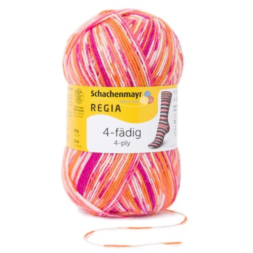 Regia 4ply Color 100g 07203 | papagei color - Image 2