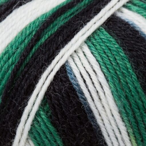 Regia 4ply Color 100g 05390 | schwarz-weiss-grün color - Image 3