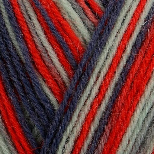Regia 4ply Color 100g 03853 | anemone color - Image 3