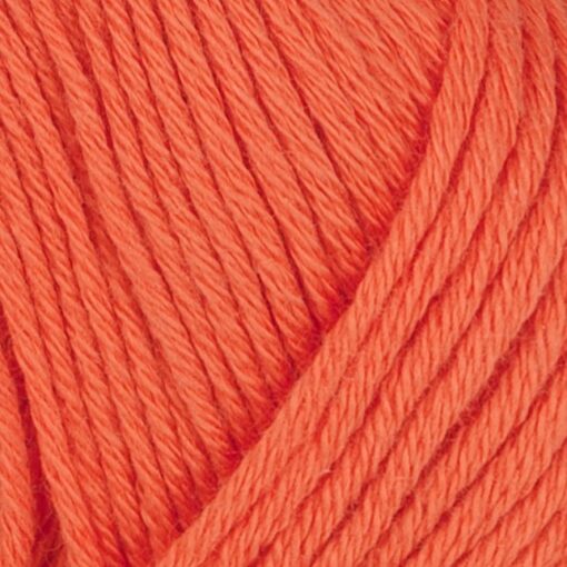 Björk 551 oranž