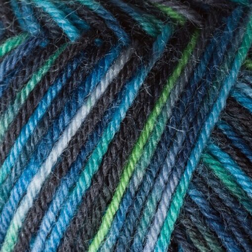 Regia 4ply Color 50g 04969 | allround gras color - Image 2