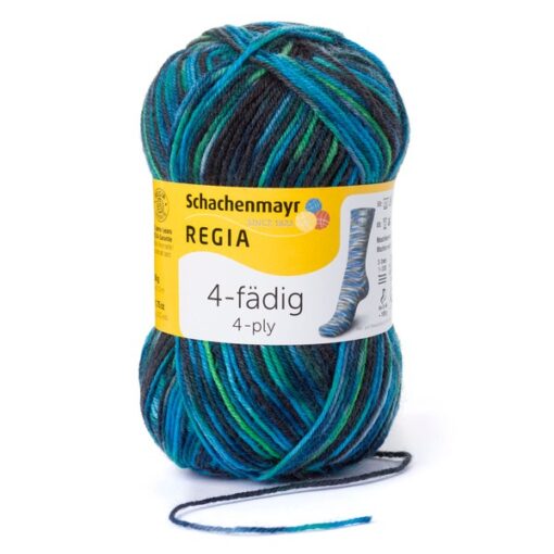 Regia 4ply Color 50g 04969 | allround gras color - Image 3