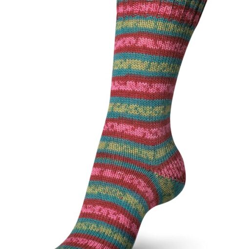 Regia 4ply Color 100g 07707 | schneeanzug color