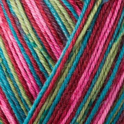 Regia 4ply Color 100g 07707 | schneeanzug color - Image 2