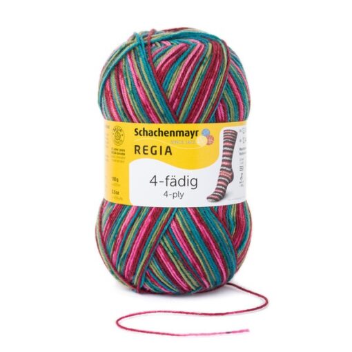 Regia 4ply Color 100g 07707 | schneeanzug color - Image 3