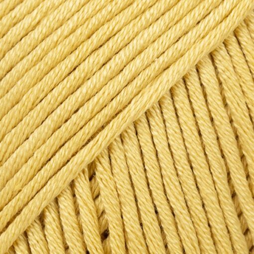 Muskat 84 päevalill uni colour