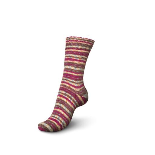 Regia 4ply Color 100g 09403 | plätzchen color