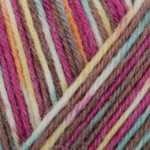 Regia 4ply Color 100g 09403 | plätzchen color - Image 2