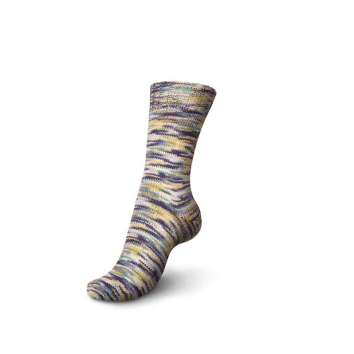 Regia 4ply Color 100g 09406 | lichterfest color