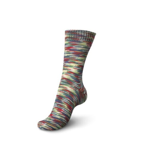 Regia 4ply Color 100g 09409 | mistelzweig color