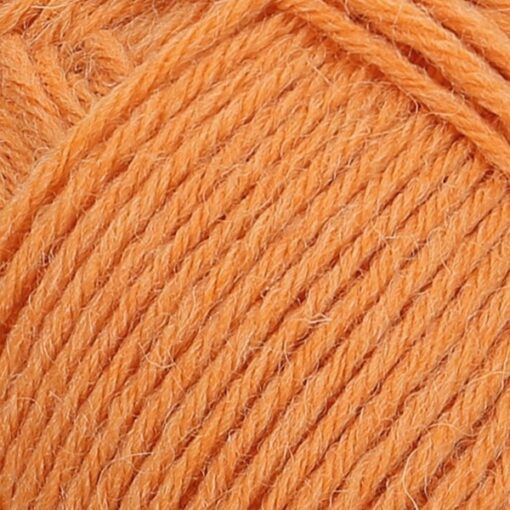 REGIA 6-ply 50g 01054|kõrvits