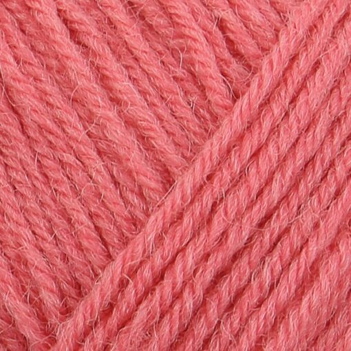 REGIA 4-ply 50g 01060|