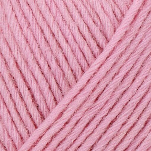 REGIA 8-ply Uni 01052| orhidee