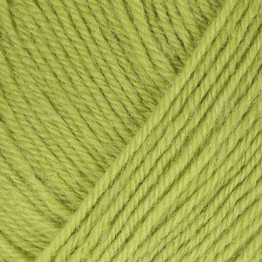 REGIA 4-ply 100g 01056 | laim