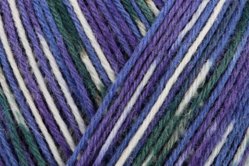 Regia 4ply Color 100g 03892 Hammerfest - Image 2