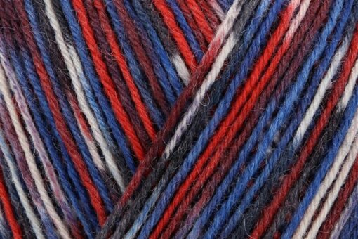 Regia 4ply Color 100g 03890 Hasvik - Image 2