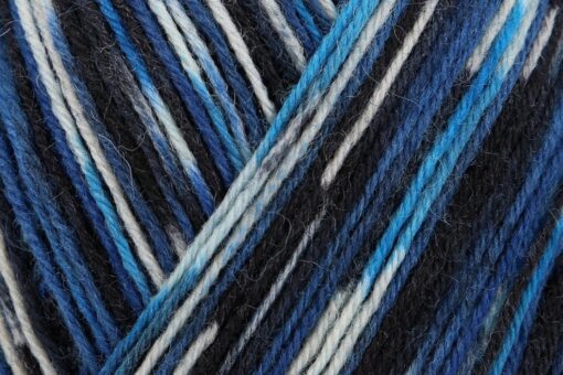 Regia 4ply Color 100g 03891 Breivikbotn - Image 2