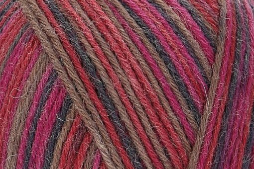 REGIA 6-ply Color 1144