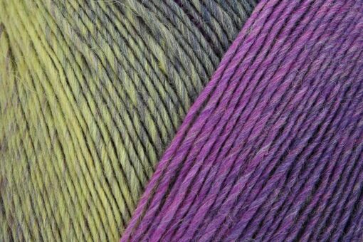 REGIA 6-ply Virtuoso Color 3070 - Image 3