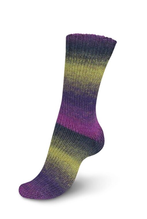 REGIA 6-ply Virtuoso Color 3070
