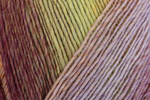 REGIA 6-ply Virtuoso Color 3074 - Image 3