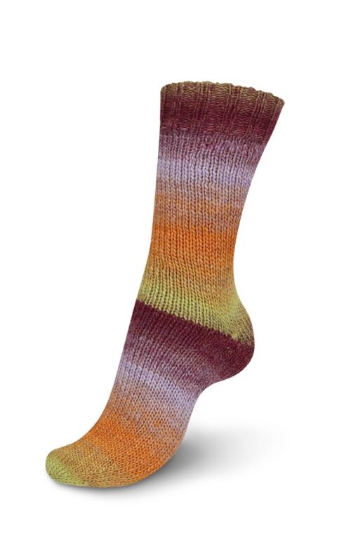 REGIA 6-ply Virtuoso Color 3074