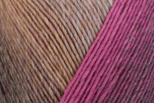 REGIA 6-ply Virtuoso Color 3077 - Image 3