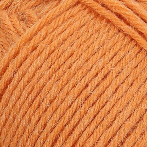REGIA 4-ply 100g 1054 | kõrvits