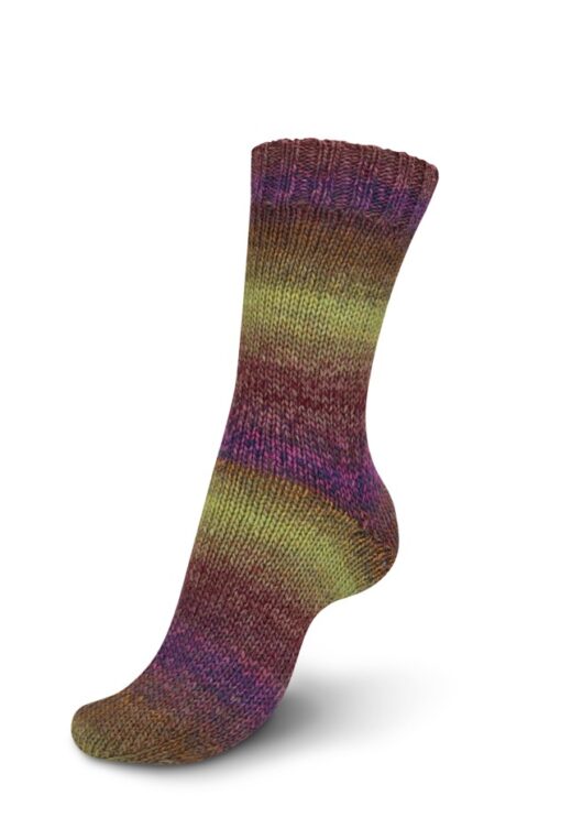 REGIA 6-ply Virtuoso Color 3078