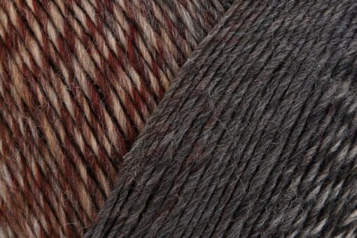 REGIA 6-ply Virtuoso Color 3079 - Image 2