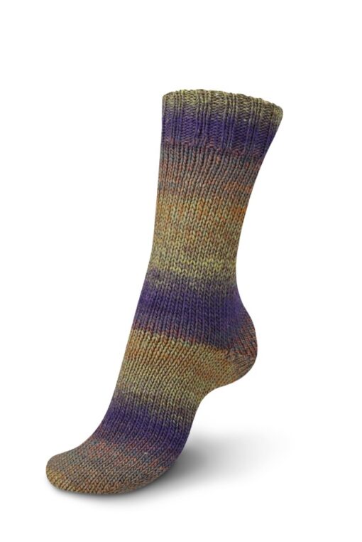 REGIA 6-ply Virtuoso Color 3082