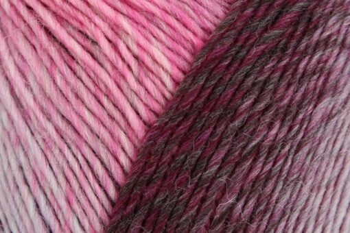 REGIA 6-ply Virtuoso Color 3081 - Image 2