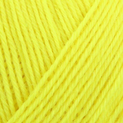 REGIA 4-ply 100g 02090 | neoonkollane