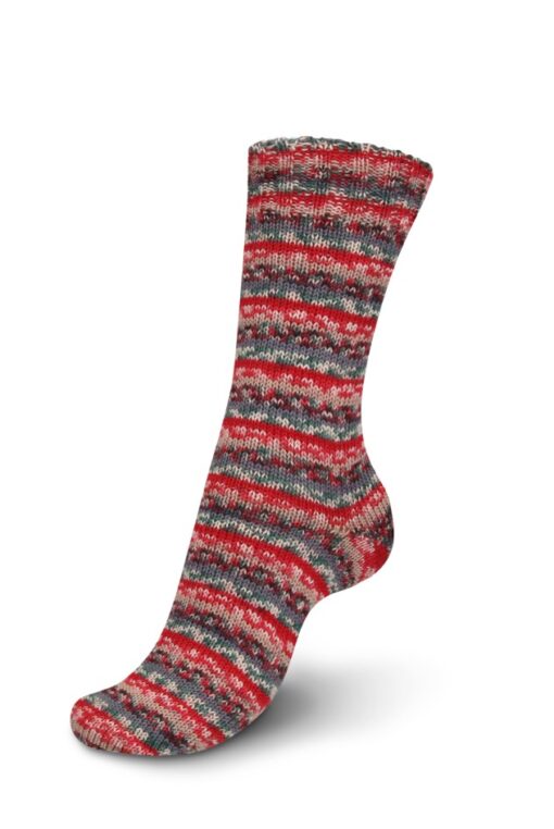 Regia 4ply Color 100g 2454