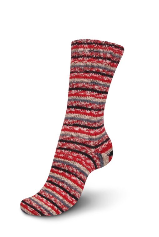 Regia 4ply Color 100g 2455