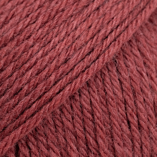 Saga 24 holly berry uni colour